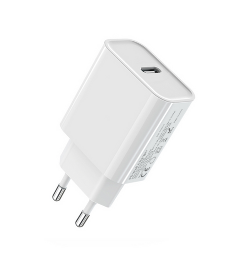 Prise Secteur De Type C 20W