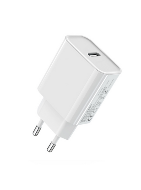 Prise Secteur De Type C 20W