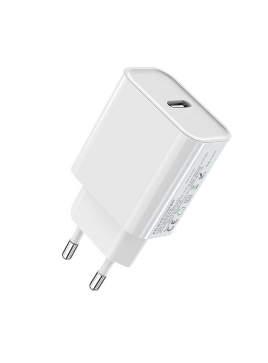 Prise Secteur De Type C 20W